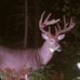 Steve Frye - Facebook