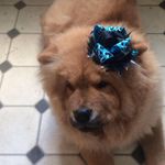 Steve Fuchs - @steve.fuchs.10 - Instagram