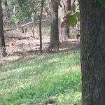Steve Fuchs - @steve.fuchs.16 - Instagram