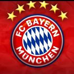 Steve Fuchs - @fuchssteve29 - Instagram