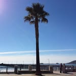 Steve Fulmer - @steve.fulmer.54 - Instagram