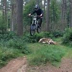 Steve Fyfe - @evilsteve7 - Instagram