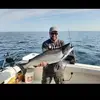 Steve Gagnon - @steve.gagnon7 - TikTok