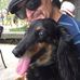 Steve Gainey - Facebook