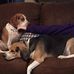 Steve Gainey - Facebook