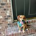 Steve Gainey - Facebook