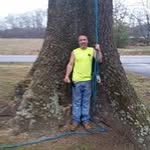 Steve Gallimore - @aaa_trees - Instagram