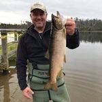 Steven Galvin - @stevegalvin - Instagram