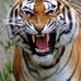Steve Garza - Facebook