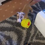 Steve Gaskell - @steve.gaskell - Instagram
