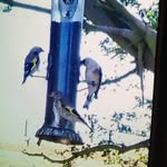 Steven.gasson. - @steve.gasson - Instagram