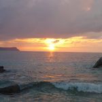 Steve Gentile - @stevevgee - Instagram