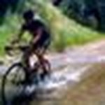 Steve Gerace - @stevegerace8 - Instagram