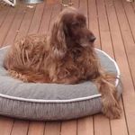 Steve Geraci - @geraci_steve - Instagram