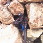 Steve gerald - @stevegerald506 - Instagram