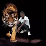 Steve Gerald - @stevegerald55 - Instagram