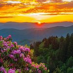 Steve Gerdes - @gerdes.steve - Instagram