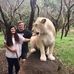 Steve Gergen - Facebook