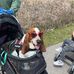 Steve Geske - Facebook