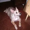 stevengeske81 - @stevengeske81 - TikTok