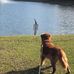 Steve Getz - Facebook