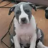 steveging - @steveging - TikTok