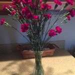 Pam And Steve Geyer - @pamandstevegeyer - Instagram