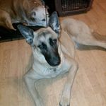 Steve Geyer - @steve.geyer.98 - Instagram
