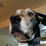 Steve Gilkey - @stevegilkey - Instagram