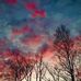 Steven Gillum Sr. - Facebook