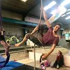 Steve Gilpin586 - @icamehereforthedoggos - TikTok