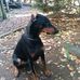 Steve Gilpin - Facebook