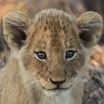Steve Gilroy - @steve.gilroy.378 - Instagram