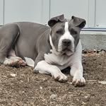 steve g - @stevegingold - Instagram