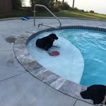 Steve Ging - @steveging56 - Instagram