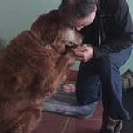 Steve Gingras - Facebook