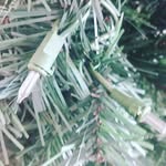 steve gingras - @stegin1234321 - Instagram