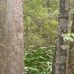 Steve Gisclair - Facebook