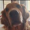 Stephen Given - @steveygiven - TikTok