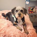 Steve Gleason Zottoli - @stevegleasonzottoli - Instagram