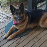 @steve_goble_1 - Instagram