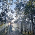 Steve Goble - @steve.goble - Instagram