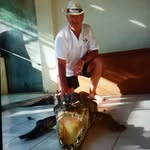 Steve Goody - @stevegm48 - Instagram