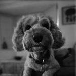 Steve Gorman - @steve.gorman.66 - Instagram