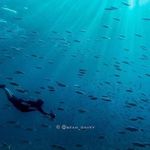Steve gorman - @steve_gorman - Instagram