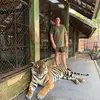 stevegorman_ - @stevegorman_ - TikTok