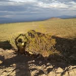 Steve Graber - @grabercars - Instagram