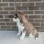 Steven Jay Graber - @stevenjaygraber - Instagram