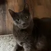 Stevengraber - @stevengraber - TikTok