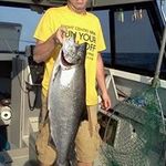 Steve Granger - @sgrangerfish - Instagram